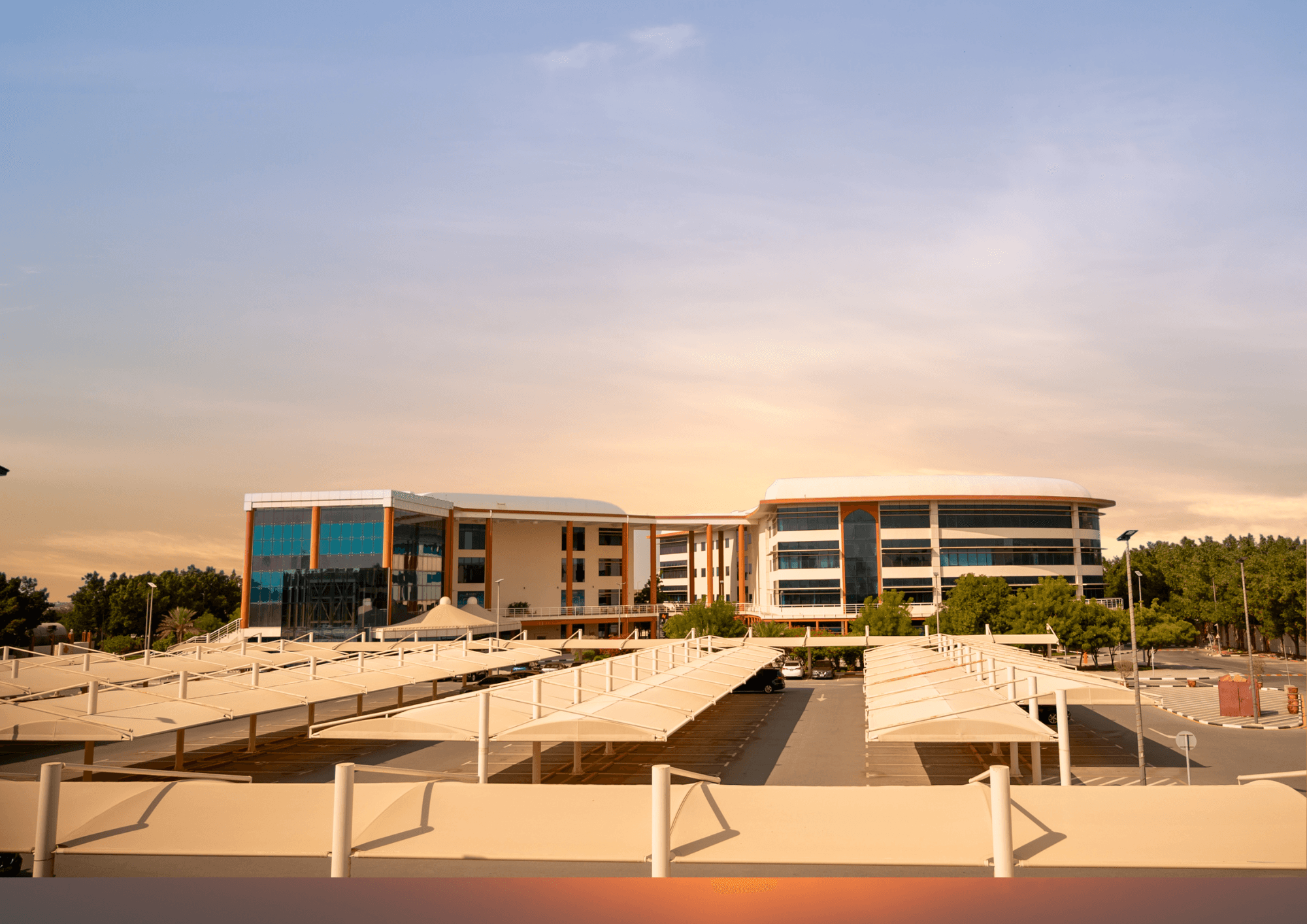 Programs at Manipal Dubai